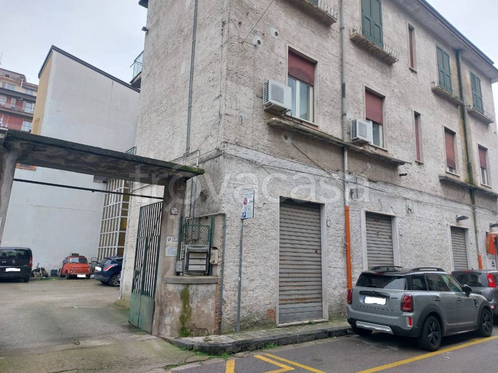 immagine annuncio 5 di 13