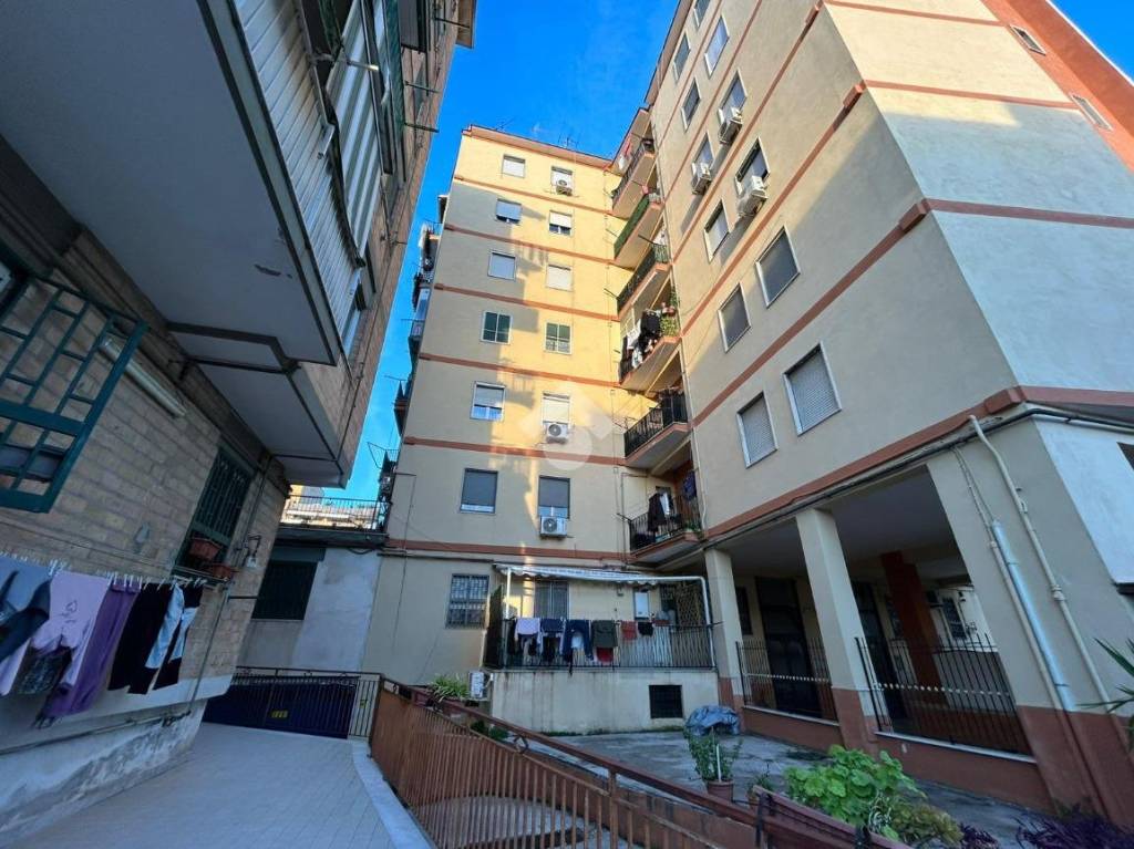 immagine annuncio 7 di 12