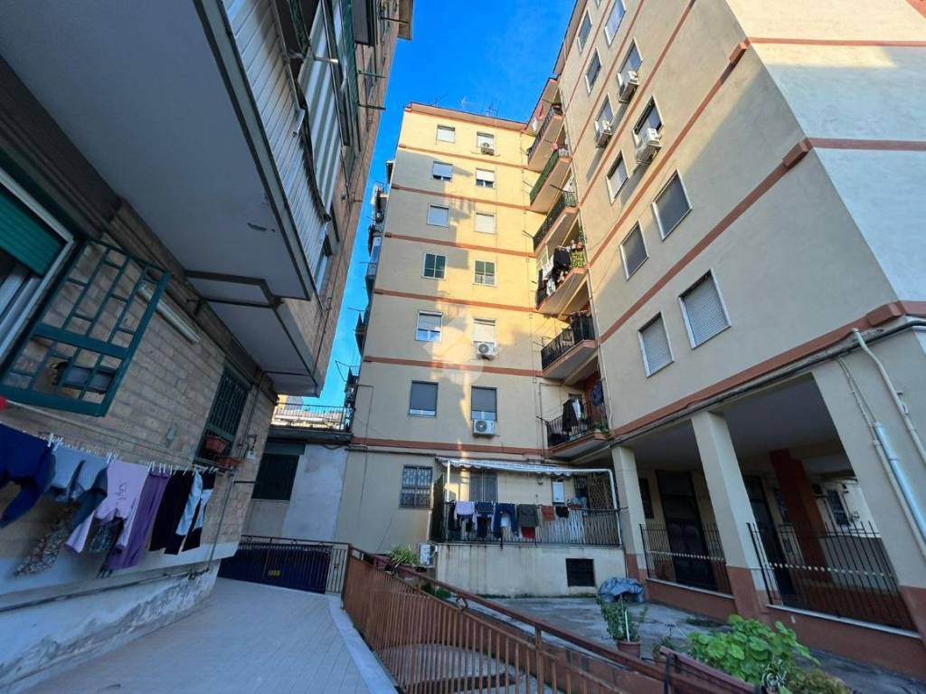 immagine annuncio 8 di 12