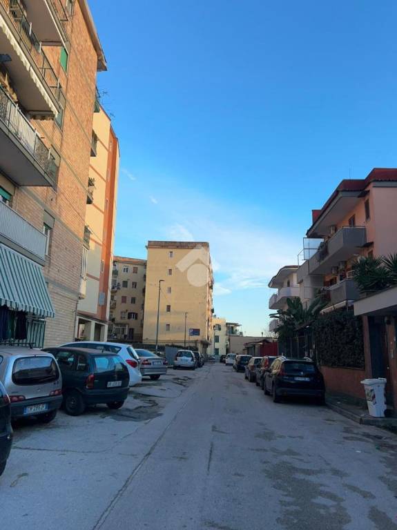 immagine annuncio 9 di 12