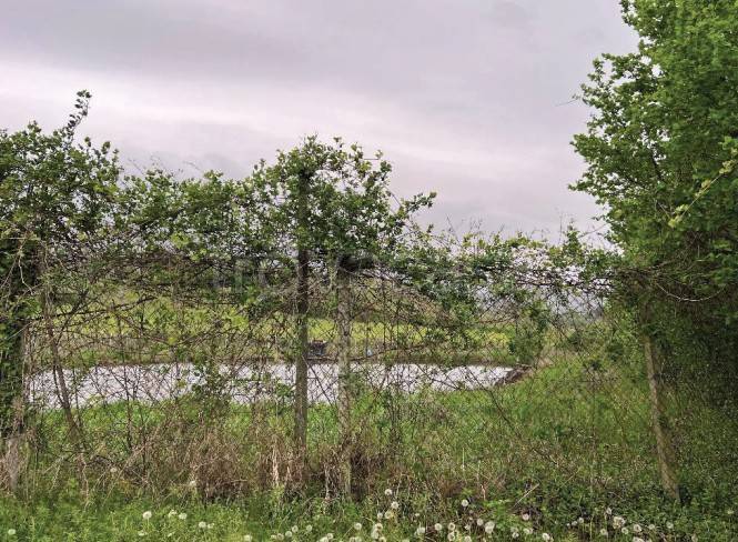 immagine annuncio 8 di 11