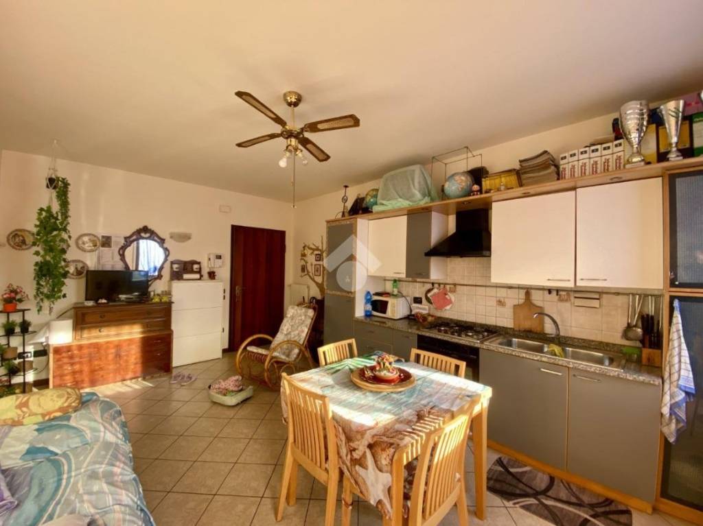 immagine annuncio 6 di 13