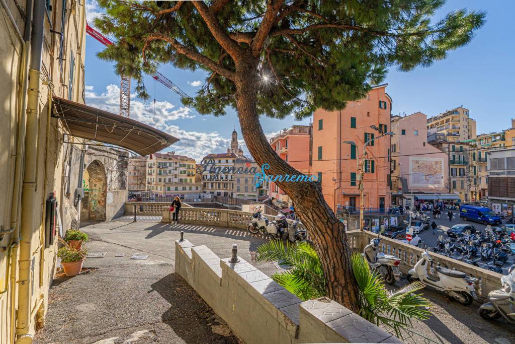 immagine annuncio 12 di 14