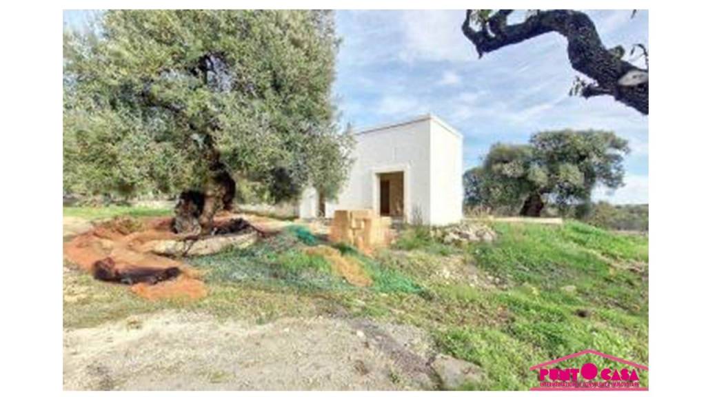 immagine annuncio 1 di 6