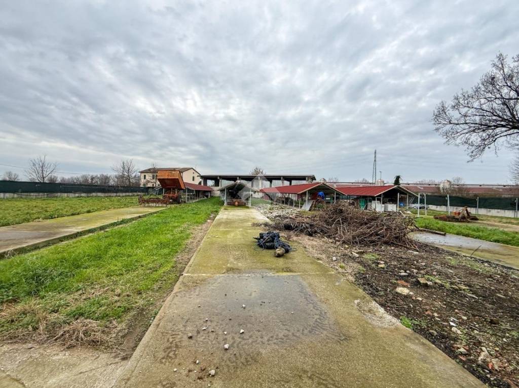 immagine annuncio 2 di 15