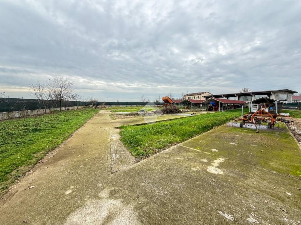 immagine annuncio 10 di 15