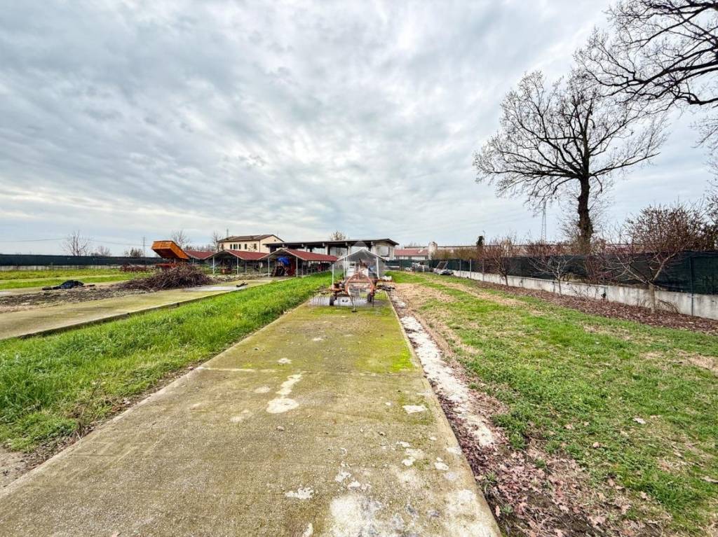 immagine annuncio 11 di 15