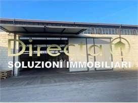 immagine annuncio 7 di 9