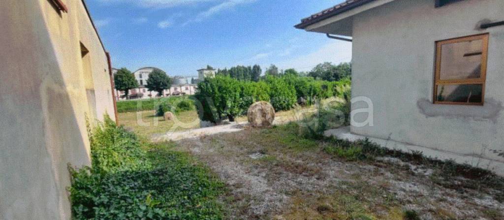 immagine annuncio 7 di 12