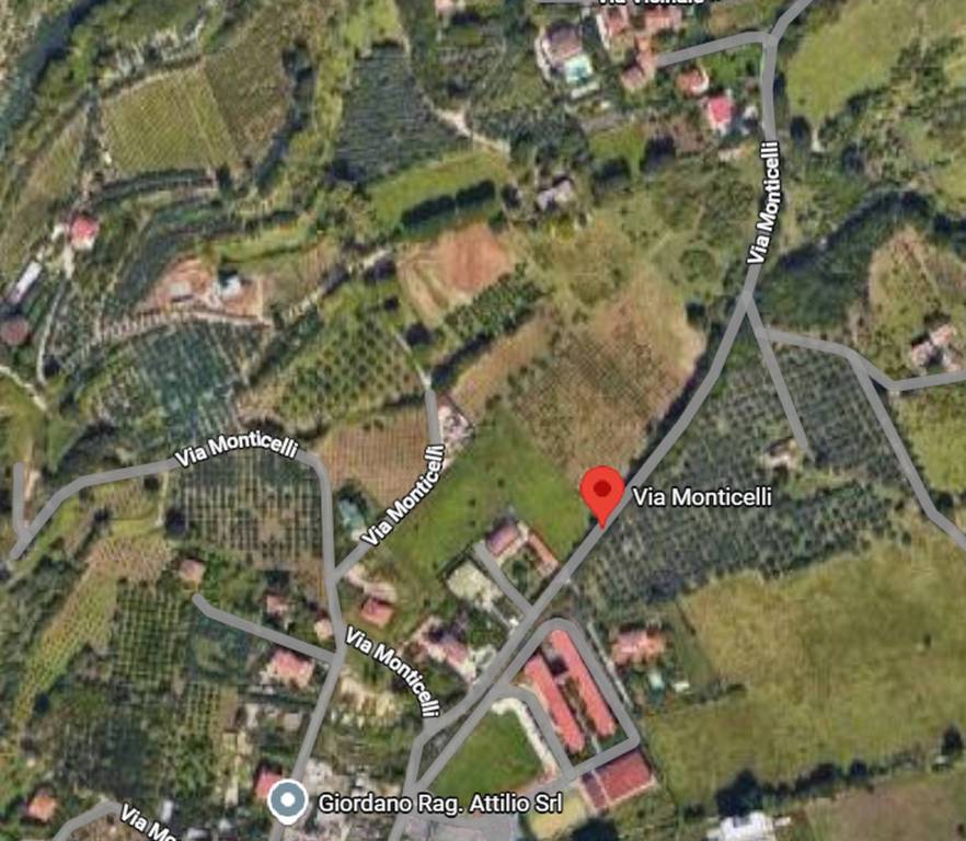 immagine annuncio 3 di 11