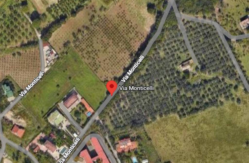 immagine annuncio 5 di 11