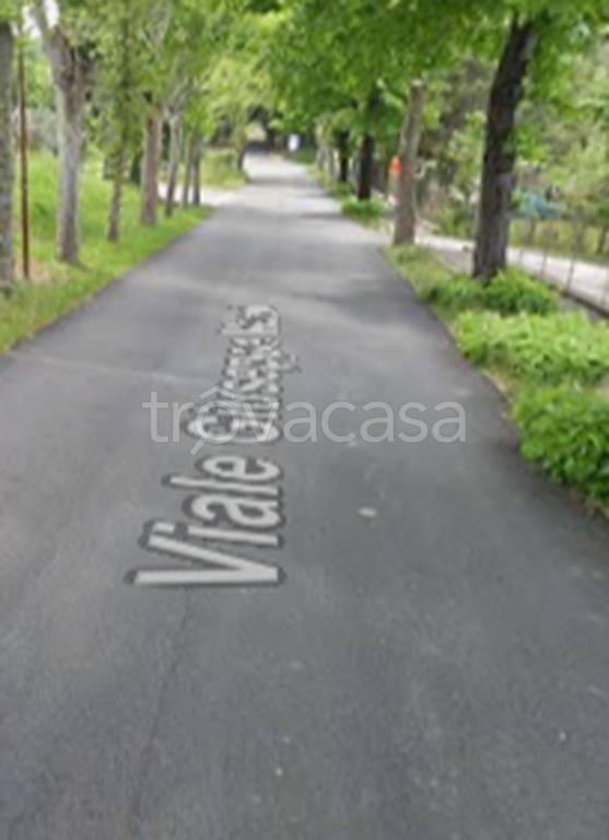 immagine annuncio 8 di 11