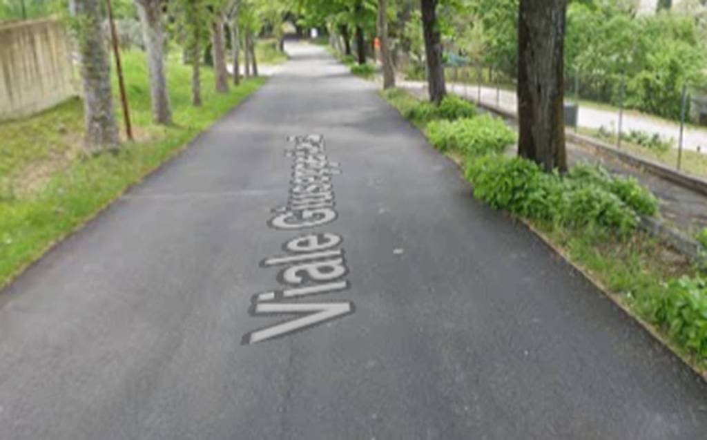 immagine annuncio 9 di 11