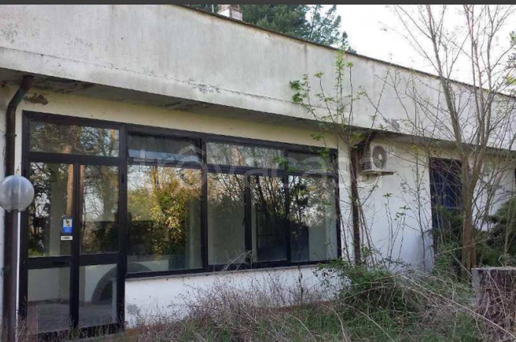 immagine annuncio 9 di 11