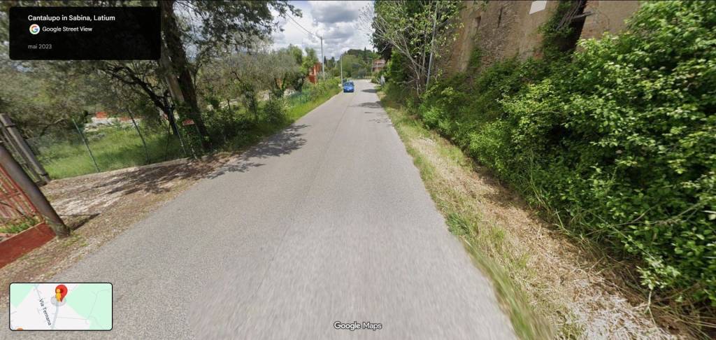 immagine annuncio 5 di 14