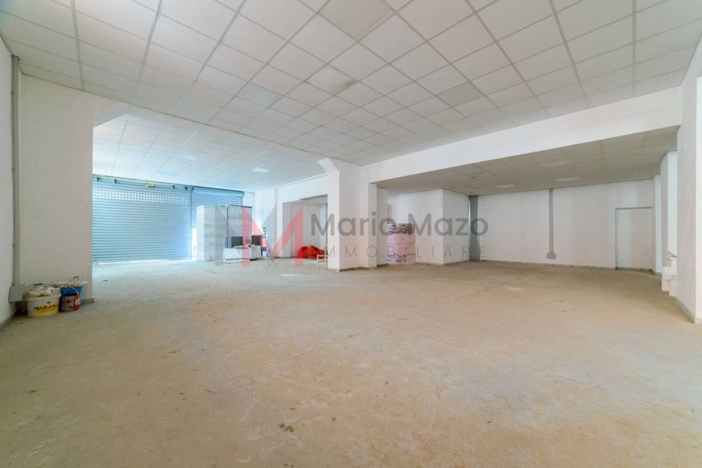 immagine annuncio 5 di 14