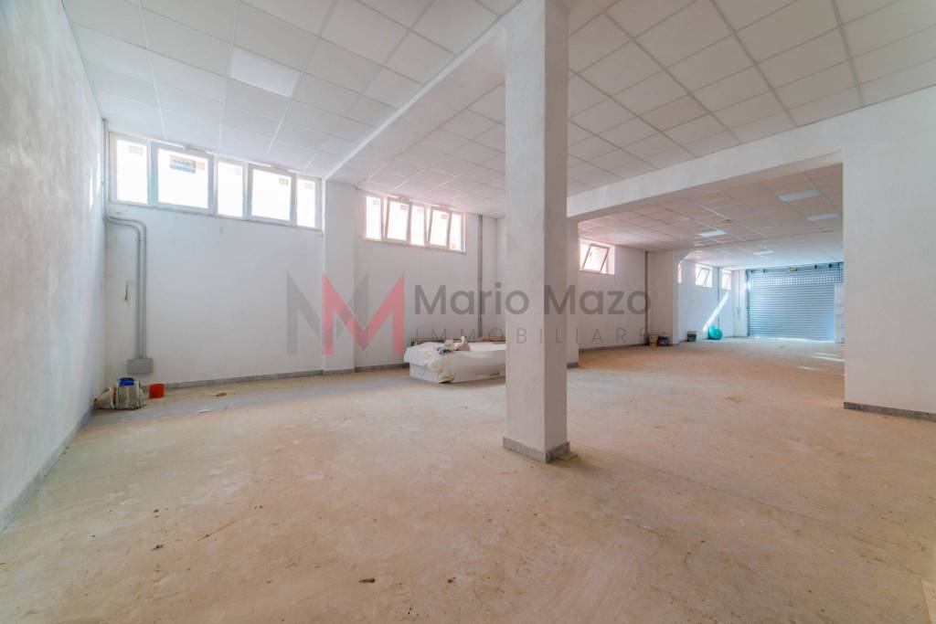 immagine annuncio 3 di 14