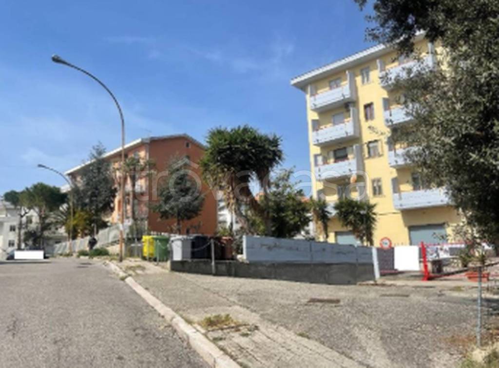 immagine annuncio 10 di 11