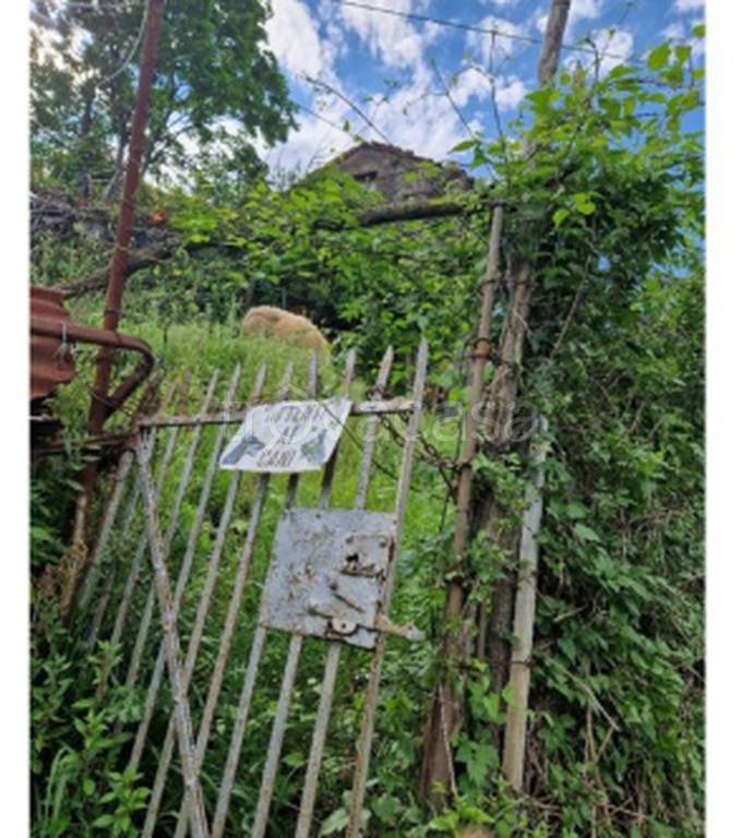 immagine annuncio 1 di 9