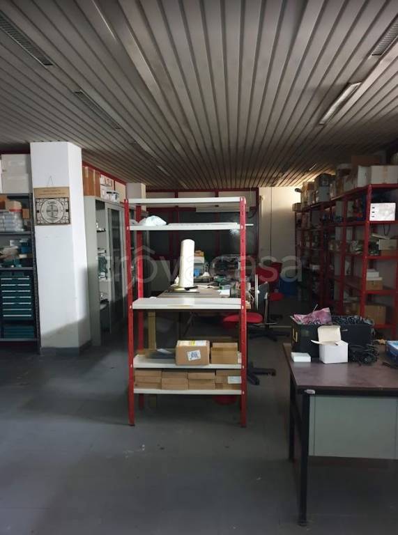 immagine annuncio 12 di 15