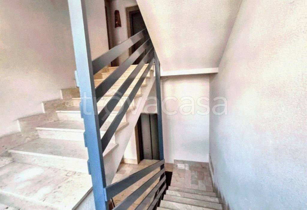 immagine annuncio 6 di 14