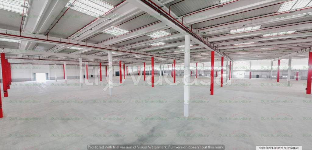 immagine annuncio 4 di 14