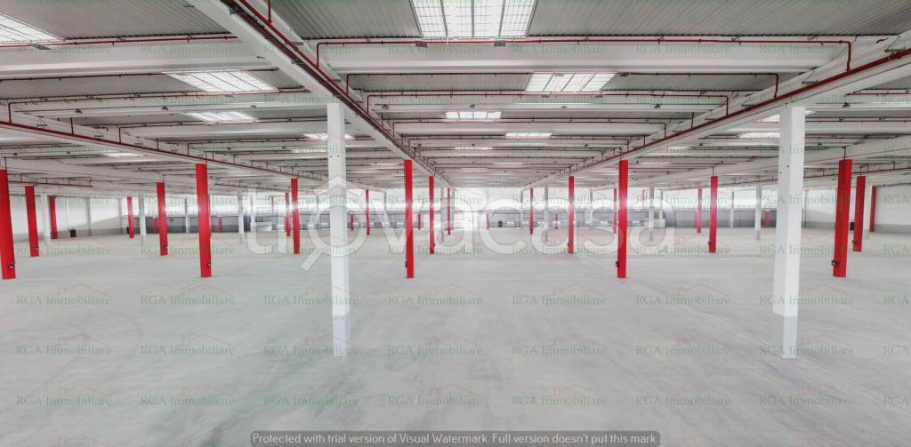 immagine annuncio 6 di 14