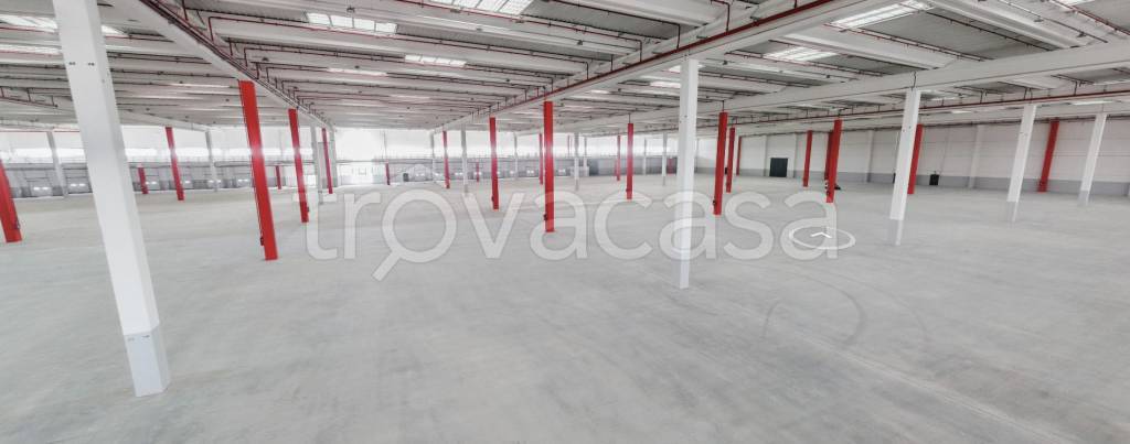 immagine annuncio 12 di 14