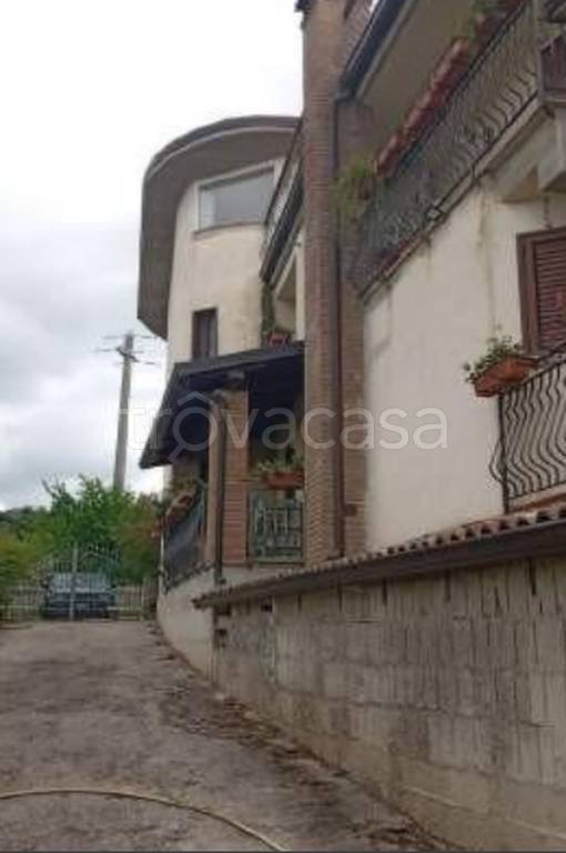 immagine annuncio 3 di 12