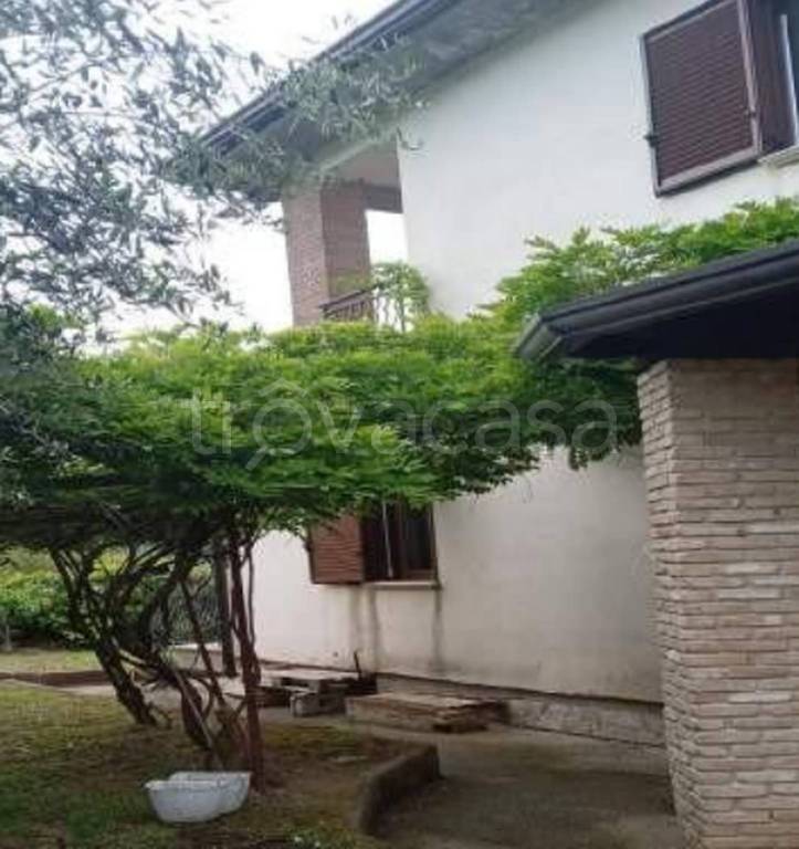 immagine annuncio 5 di 12