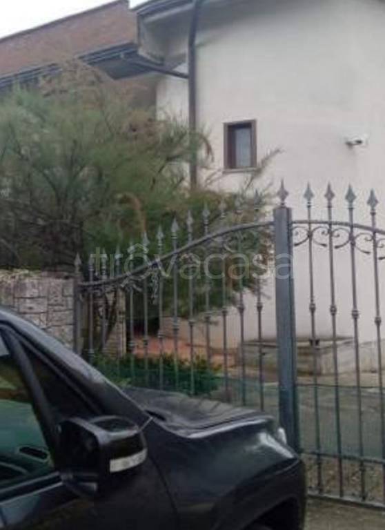 immagine annuncio 8 di 12