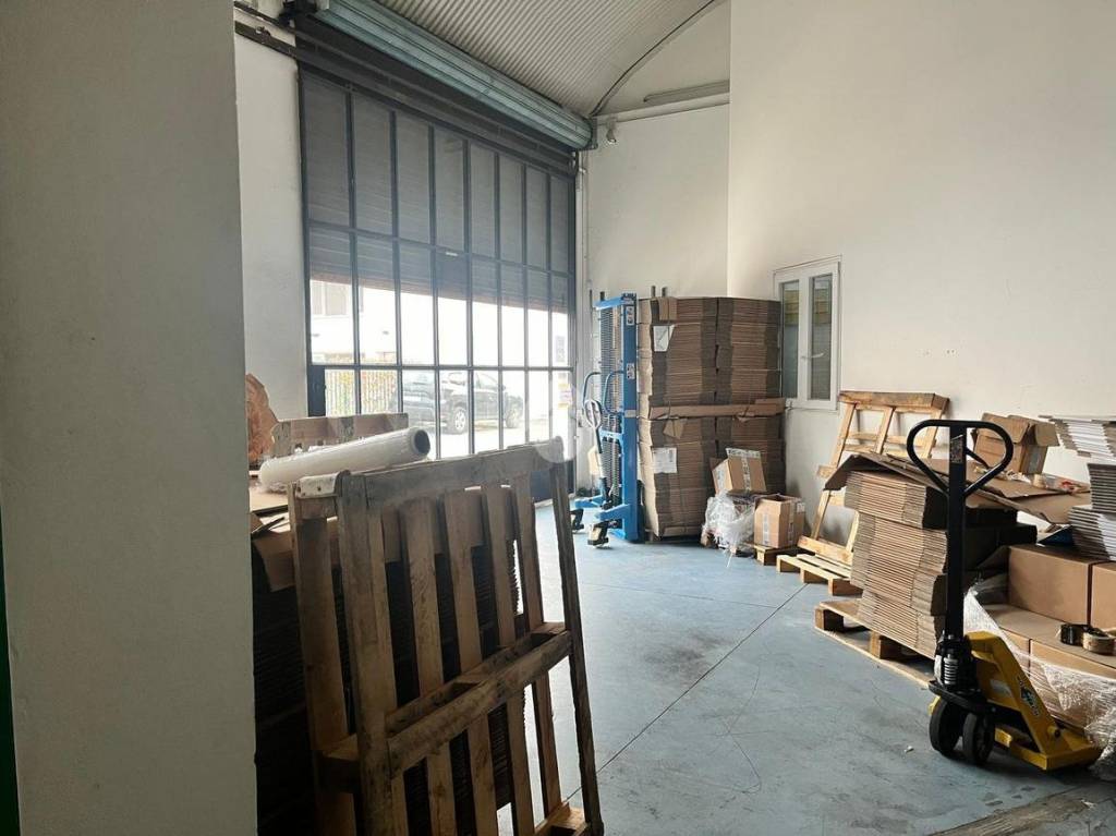 immagine annuncio 1 di 11