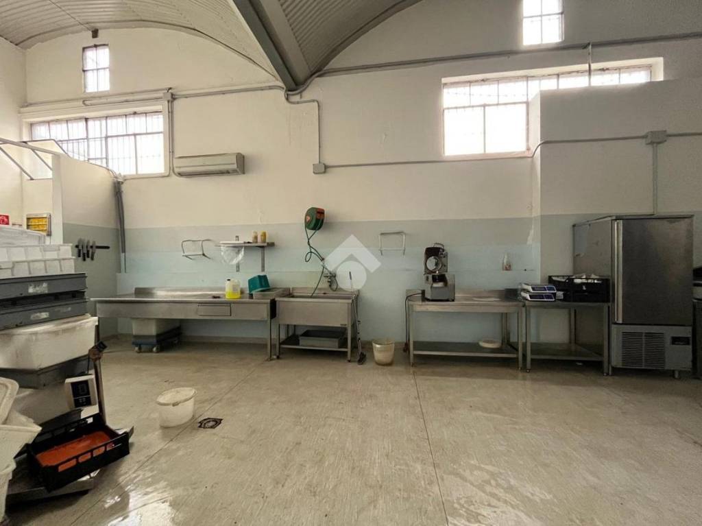 immagine annuncio 2 di 11