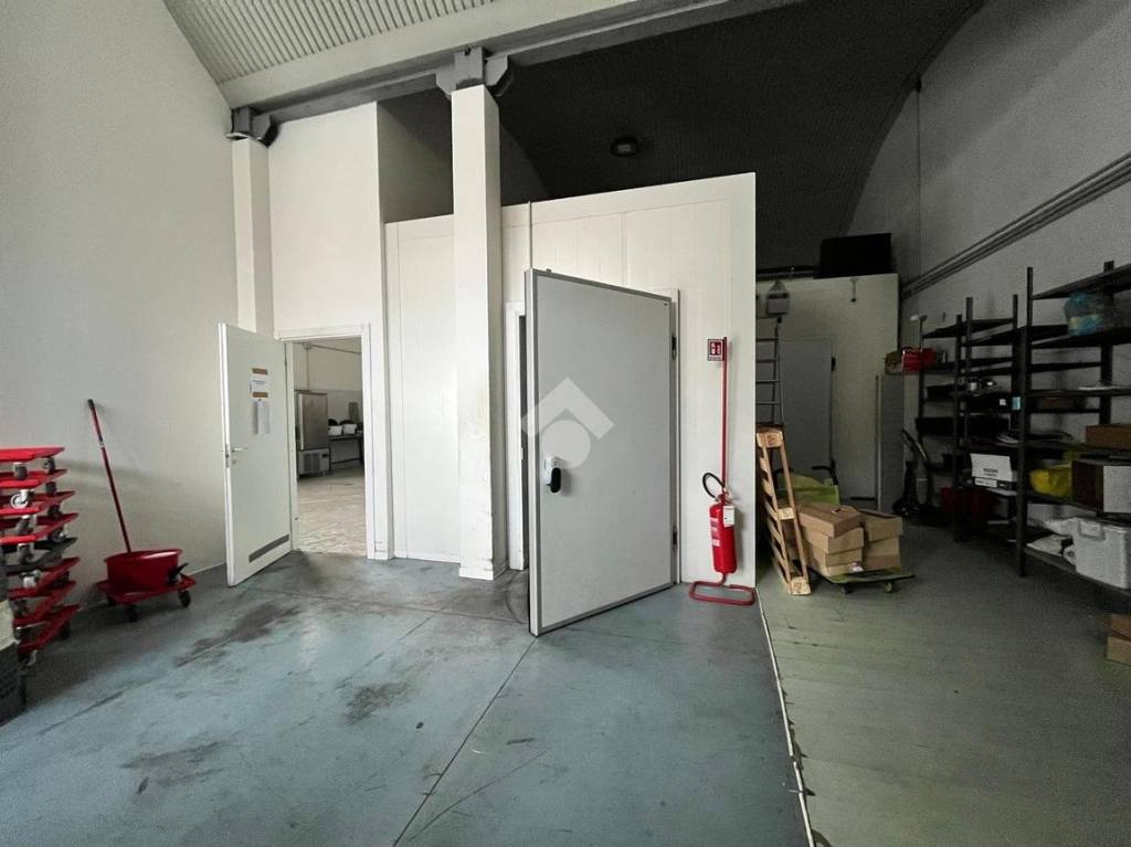 immagine annuncio 5 di 11