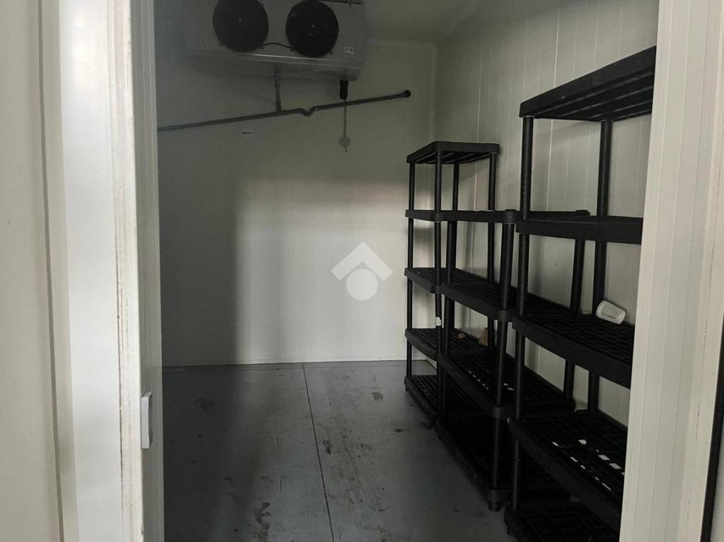 immagine annuncio 7 di 11