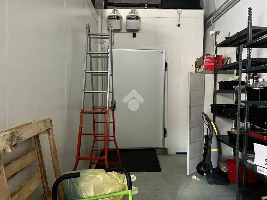 immagine annuncio 8 di 11