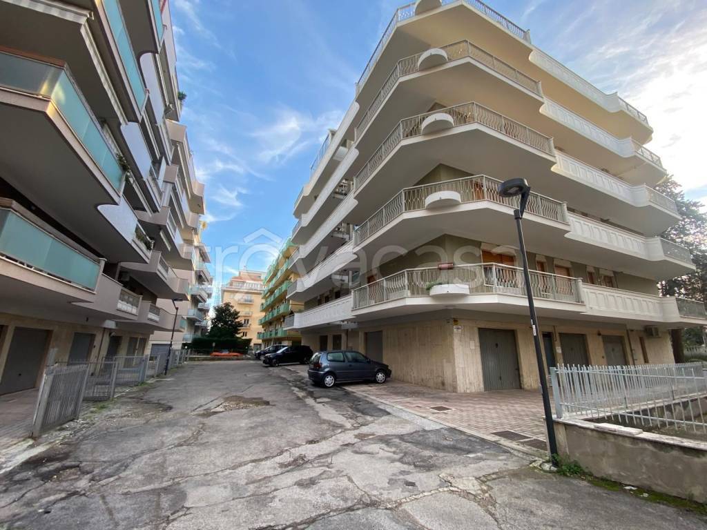 immagine annuncio 13 di 14