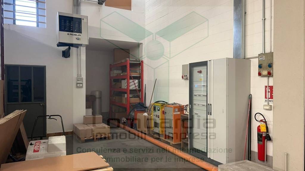 immagine annuncio 8 di 15