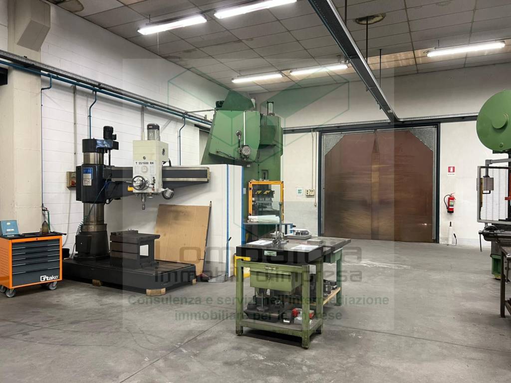 immagine annuncio 2 di 15