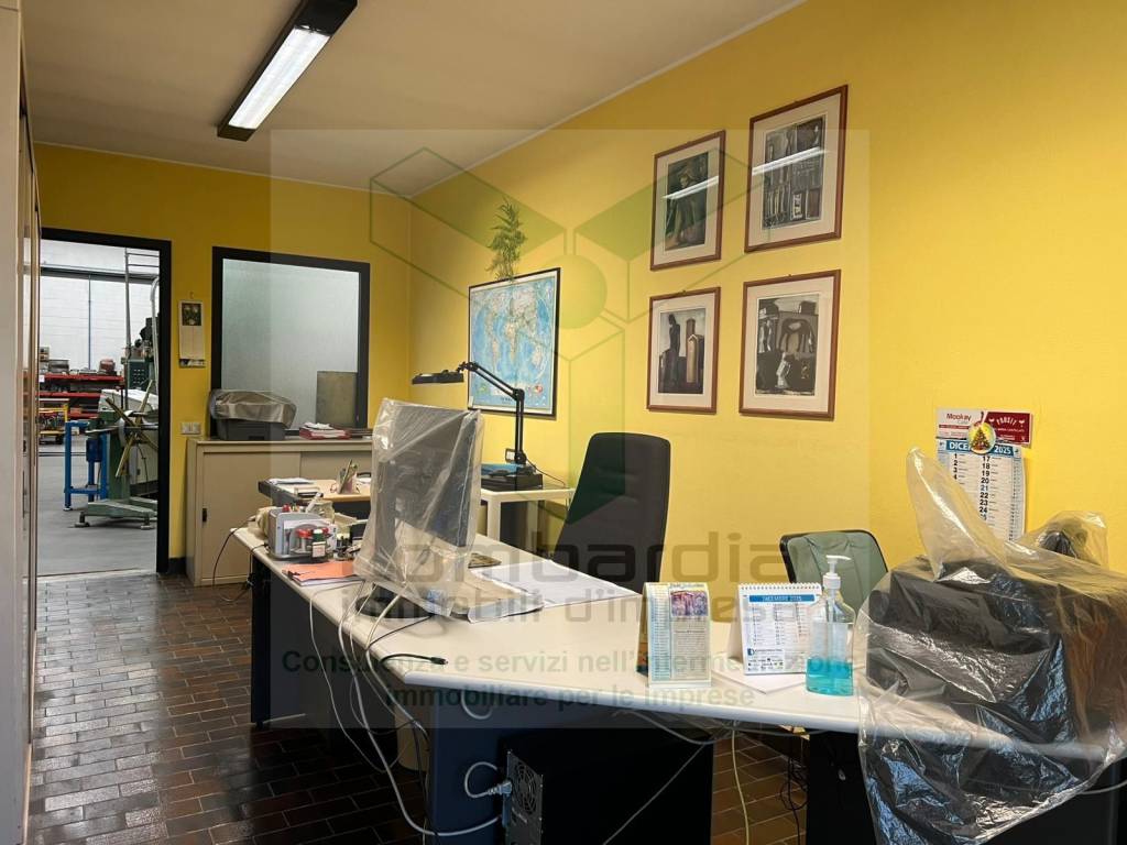 immagine annuncio 9 di 15