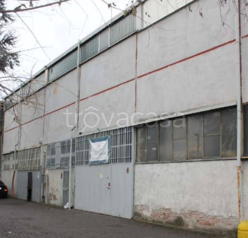 immagine annuncio 1 di 12