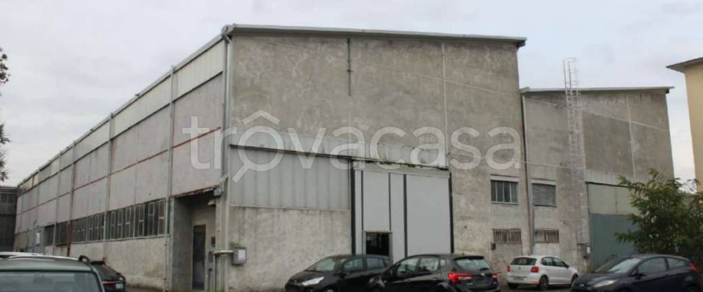 immagine annuncio 2 di 12