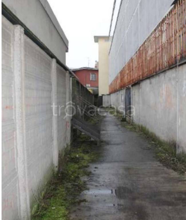 immagine annuncio 3 di 12