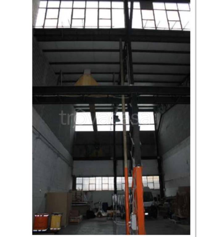 immagine annuncio 5 di 12