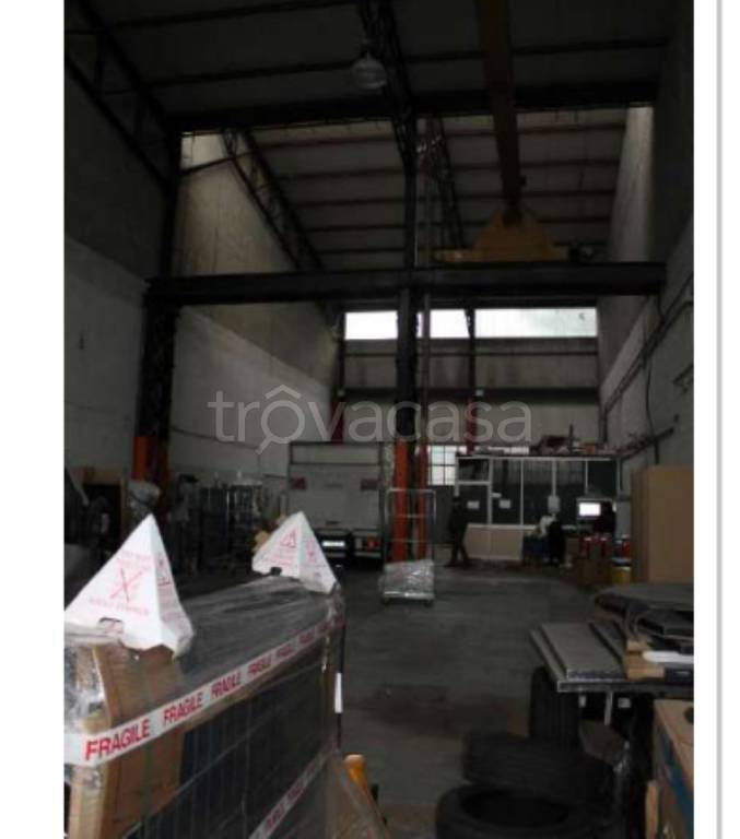 immagine annuncio 7 di 12