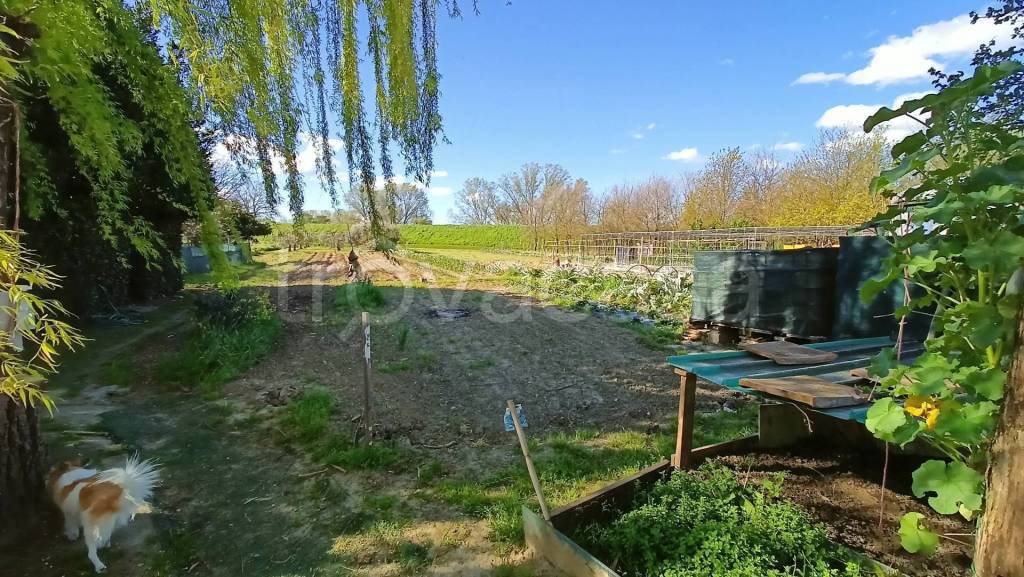 immagine annuncio 1 di 6