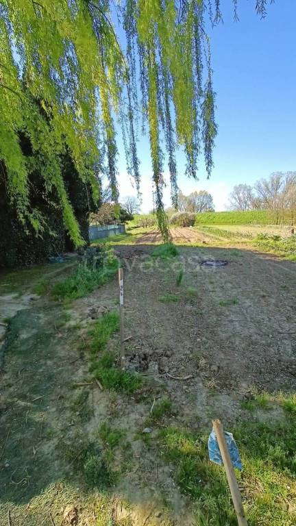 immagine annuncio 3 di 6