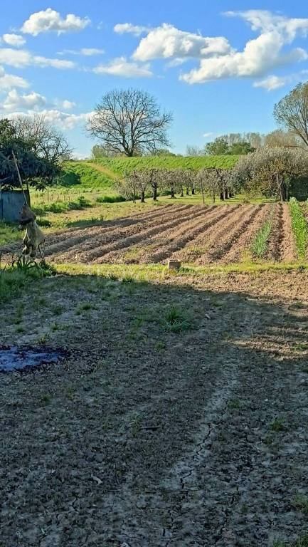 immagine annuncio 4 di 6