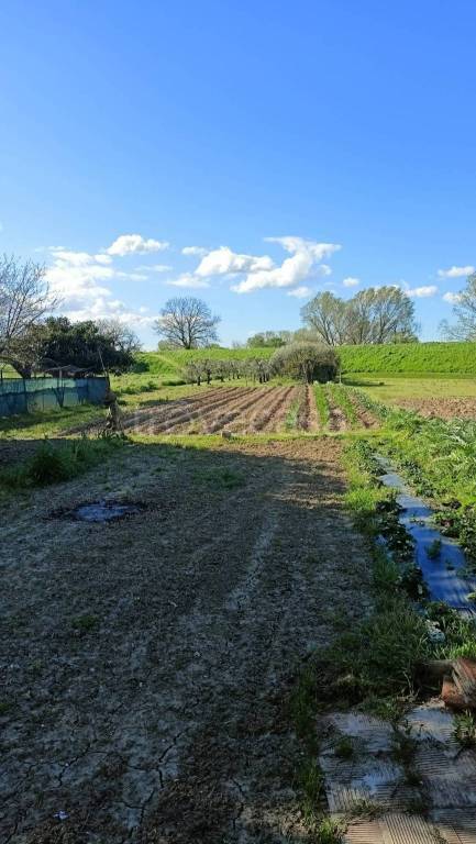 immagine annuncio 5 di 6