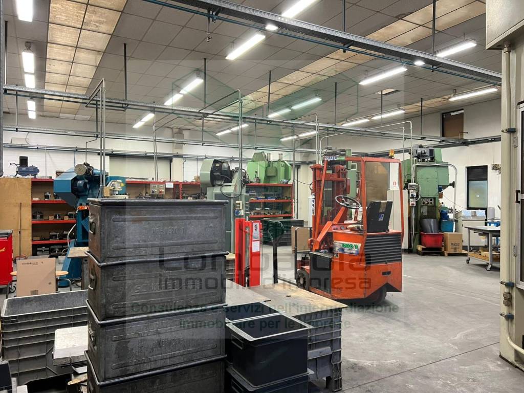 immagine annuncio 7 di 13